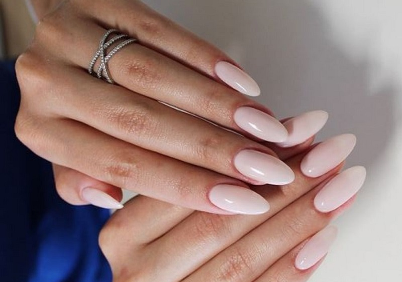 Nail model 55