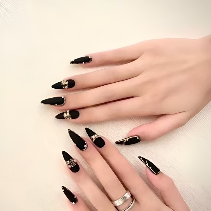 Beautiful pointed black nail design